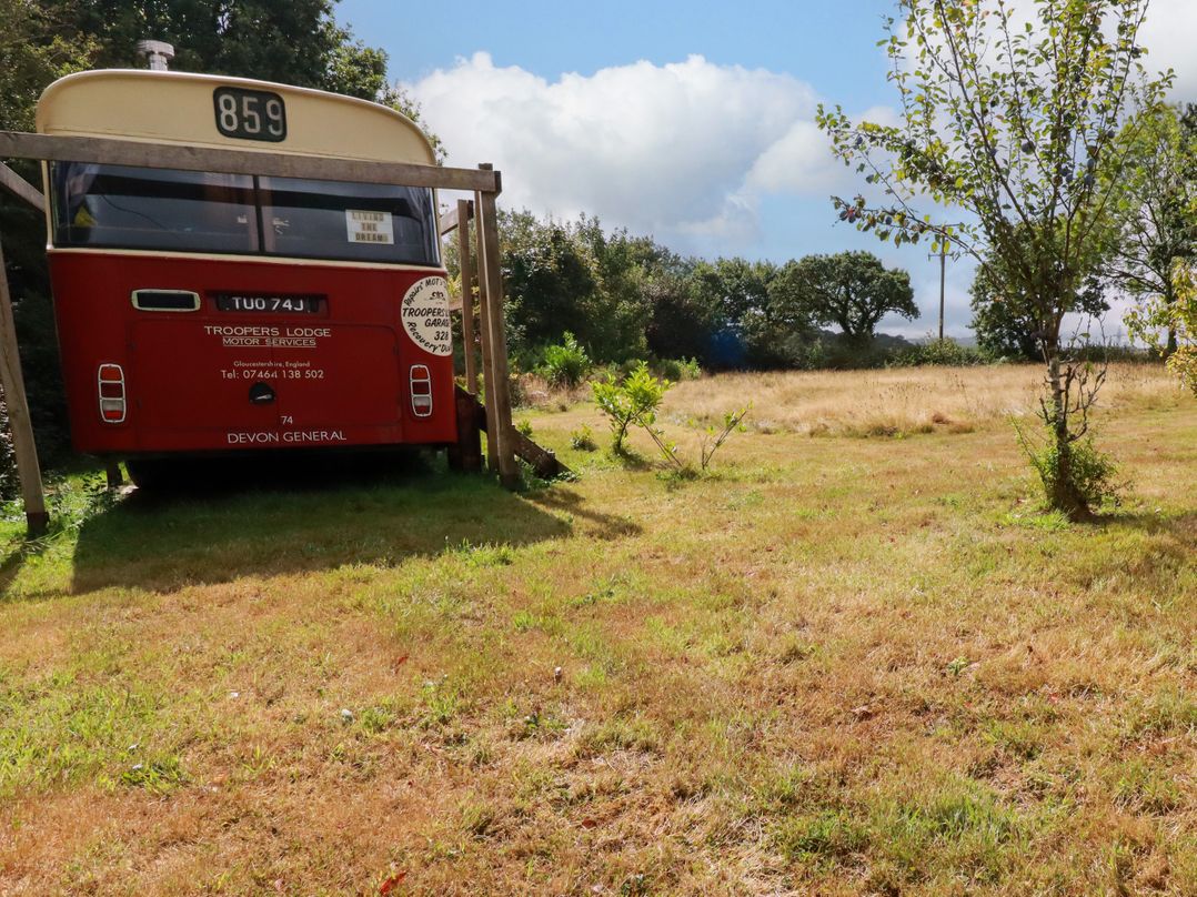 Honey Bee Bus