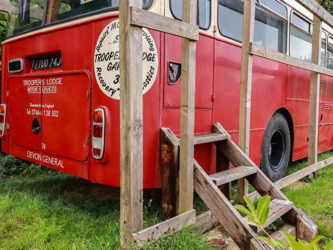 Honey Bee Bus