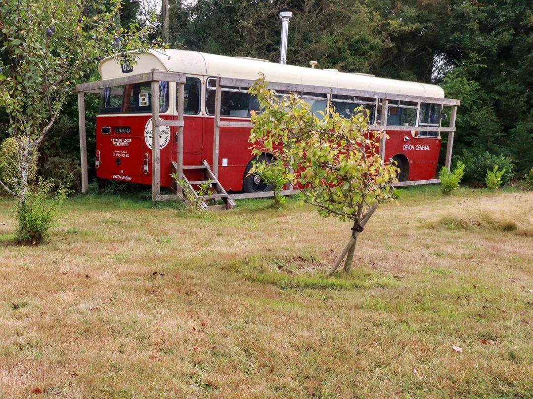 Honey Bee Bus