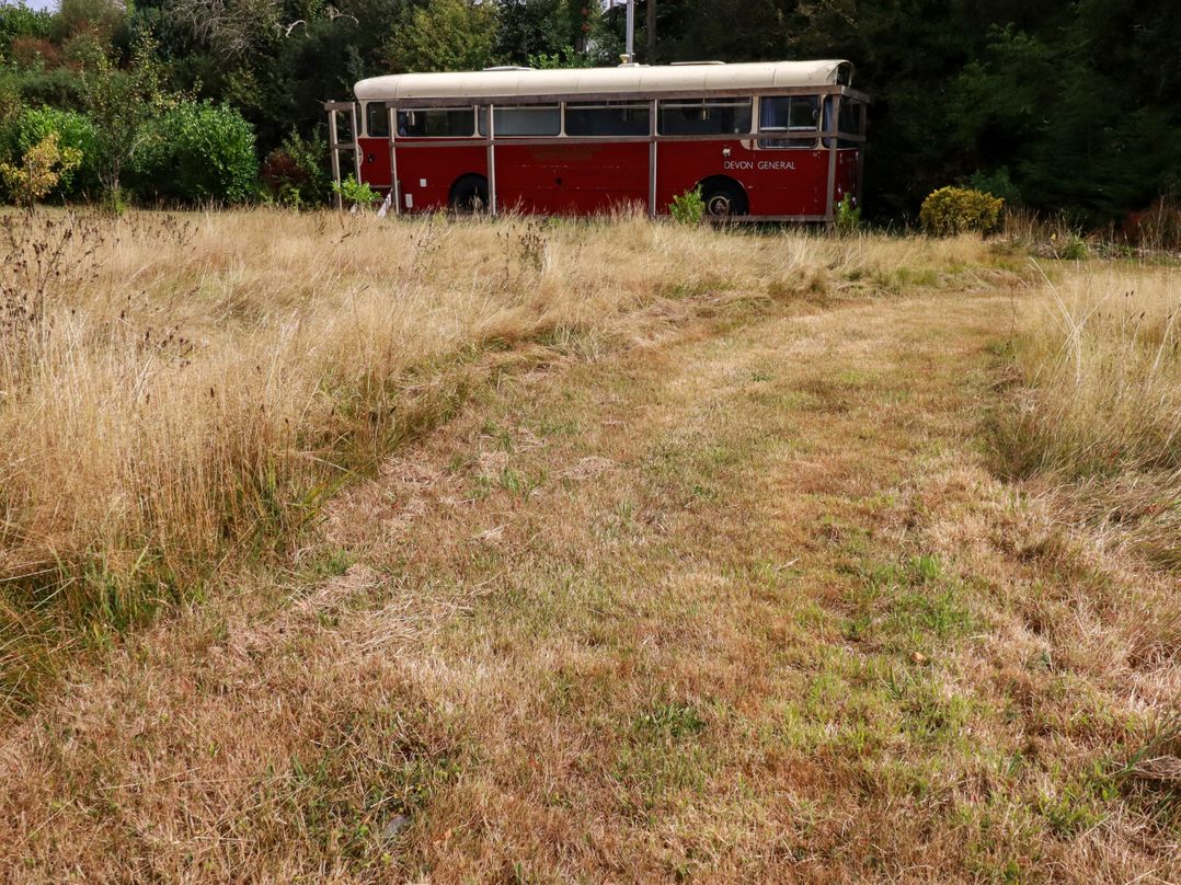 Honey Bee Bus