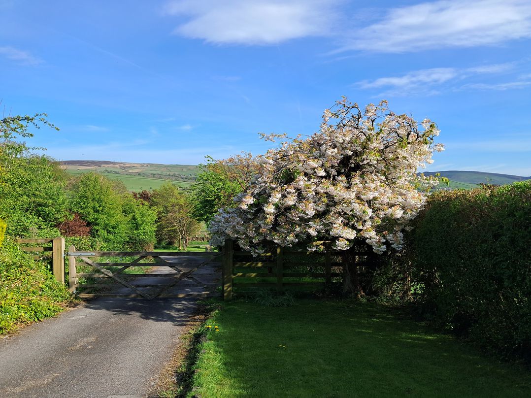 Castleys Mount