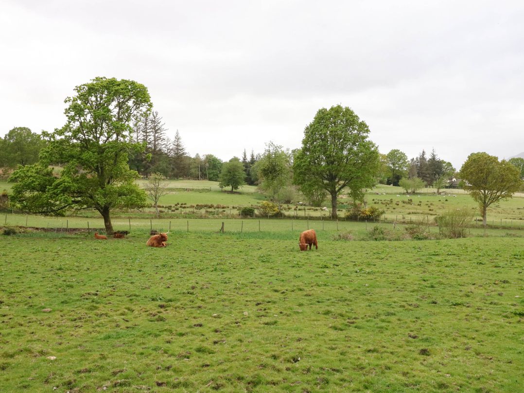 The Four Oaks Chalet