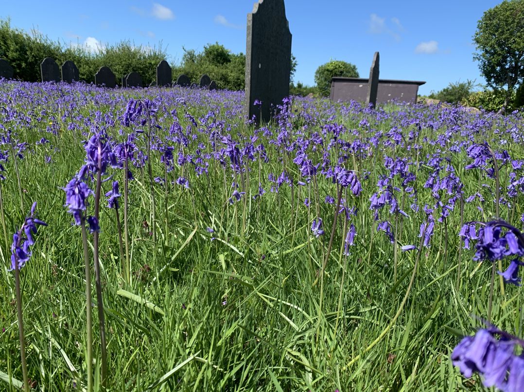 Eglwys St Cynfil