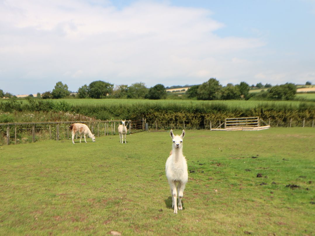 Cornfield Lodge