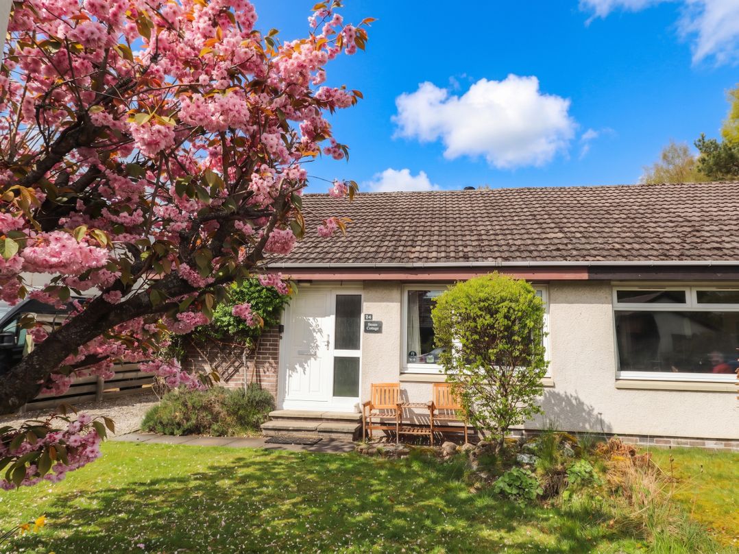 Steam Cottage