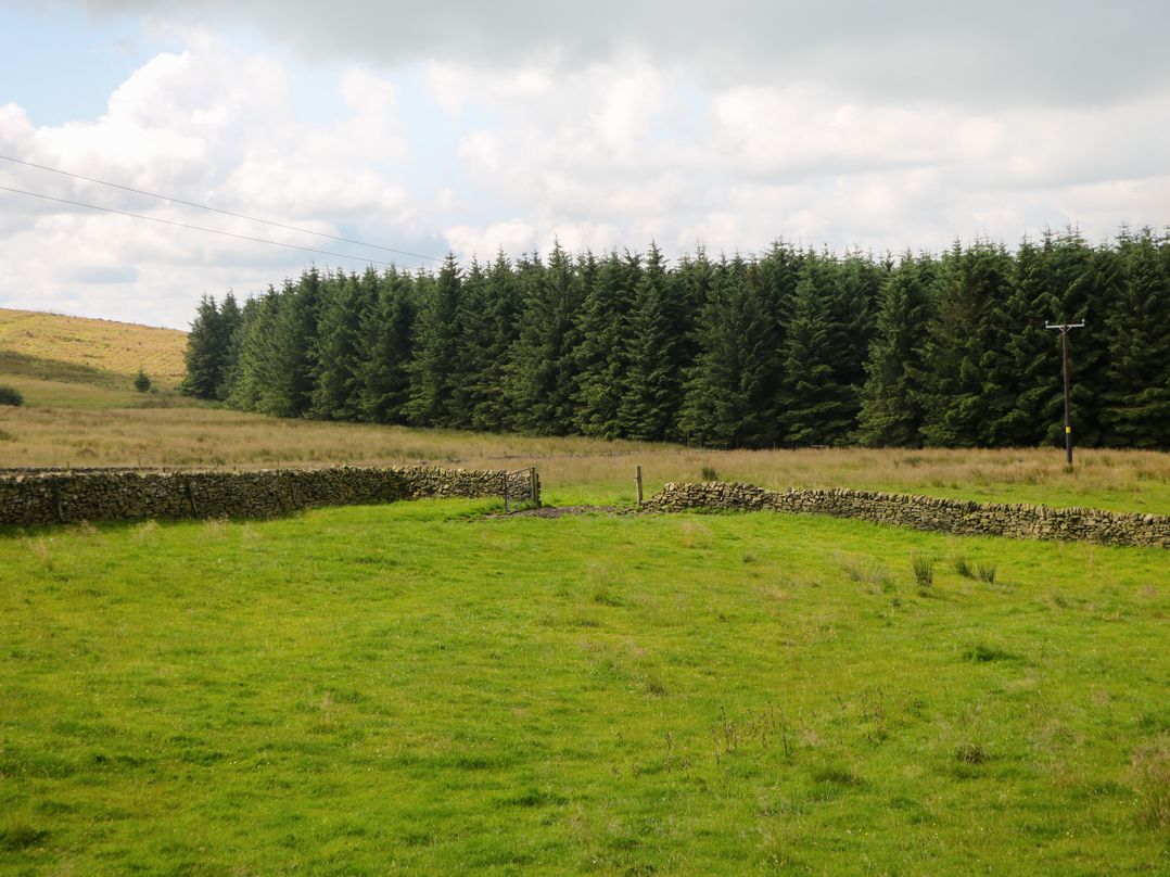 Downsdale Cottage