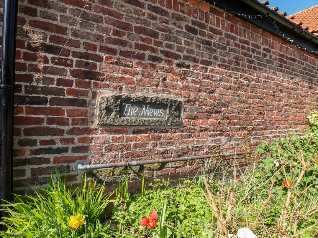 Twitchers' Den