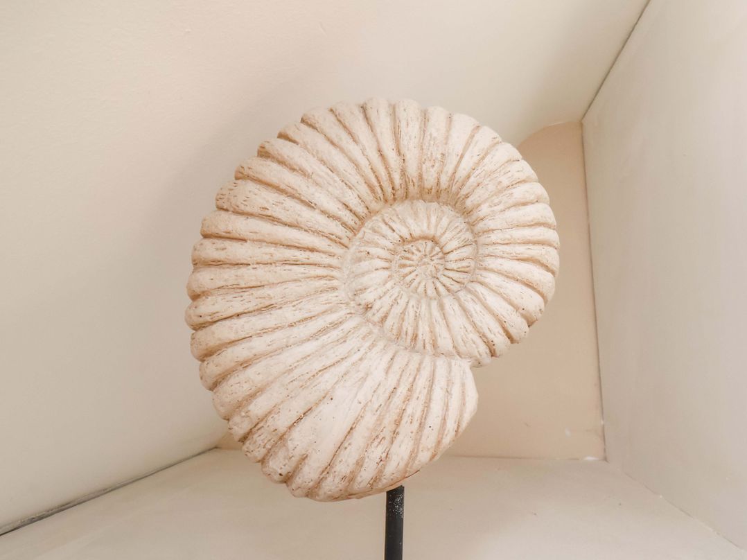 Heather Croft