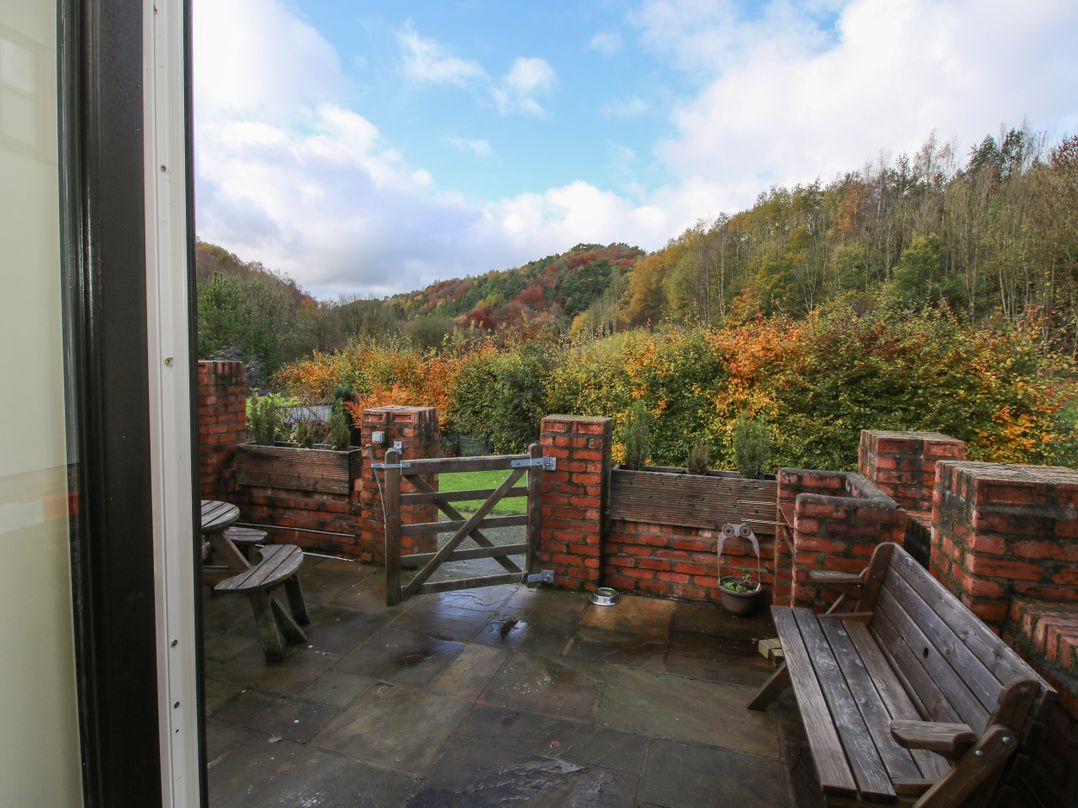 Meadow View