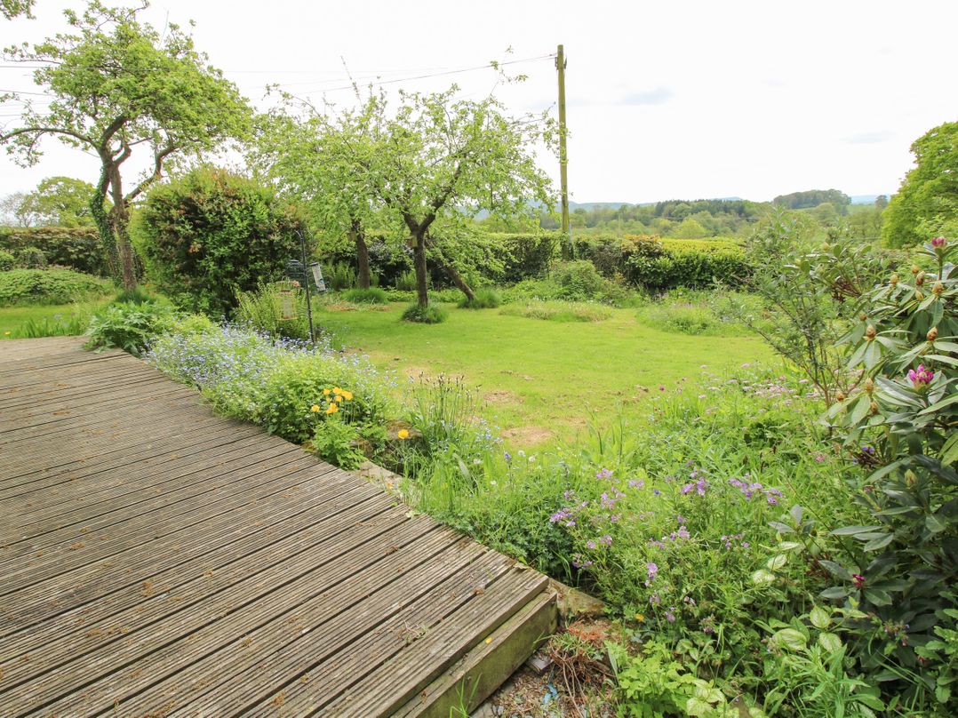 Hill Brow