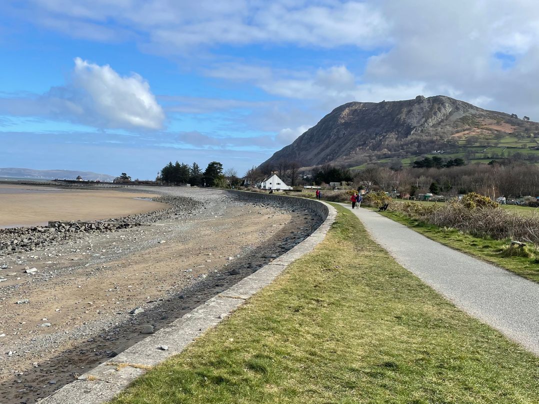 Gwylanedd One