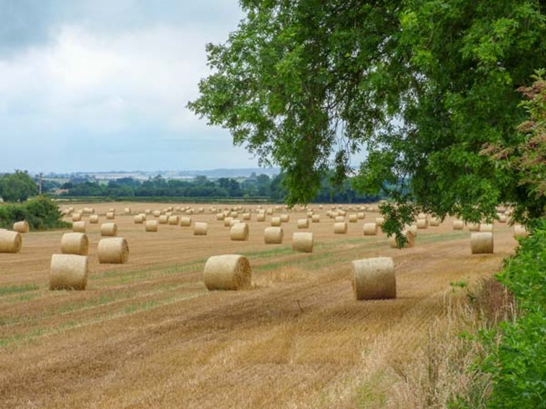 The Granary
