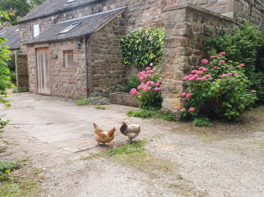 Lee House Cottage