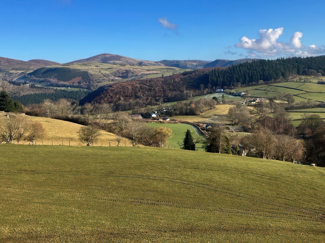 Tyn Llwyn
