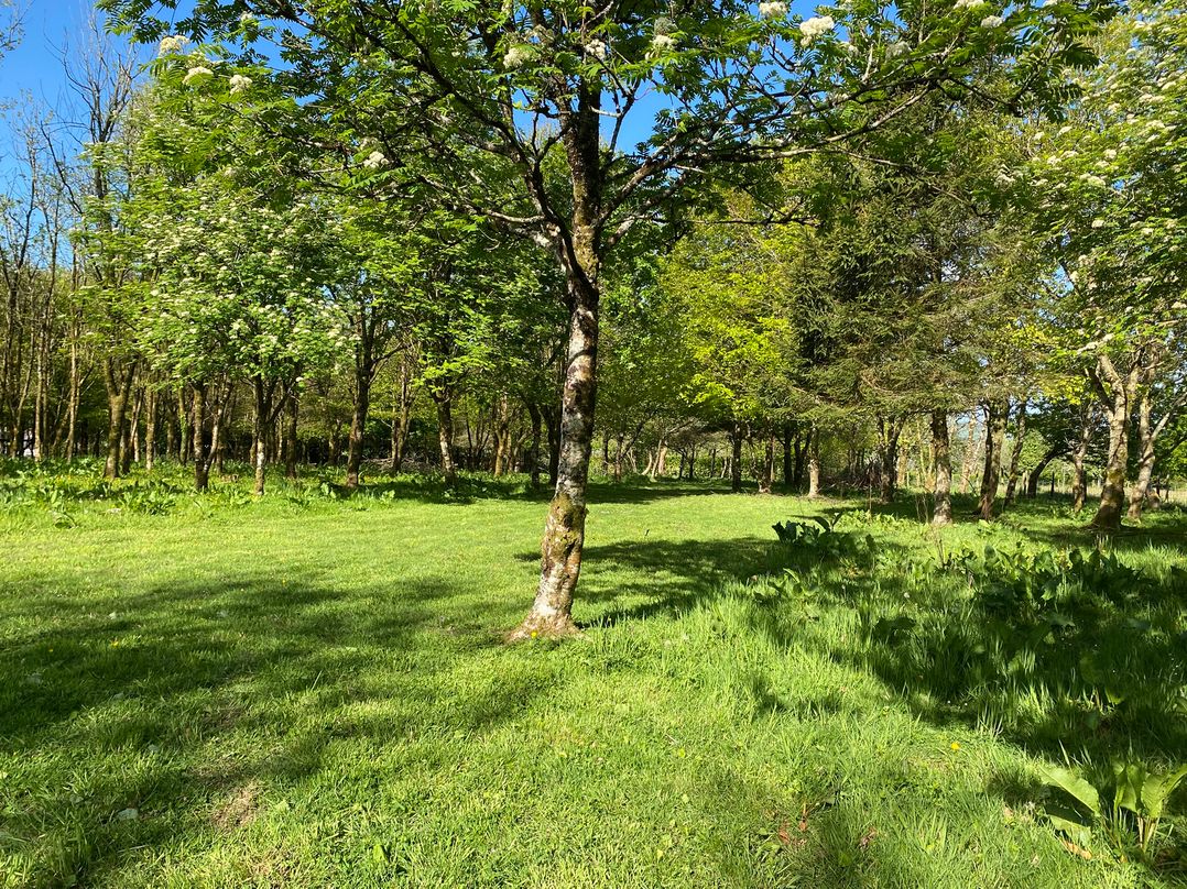 Cherry Cottage