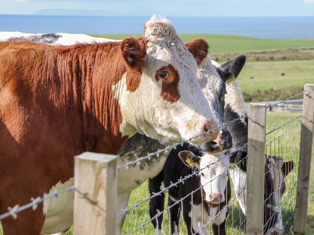 Corsewall Castle Farm Lodges