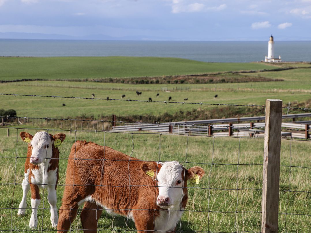 Corsewall Castle Farm Lodges