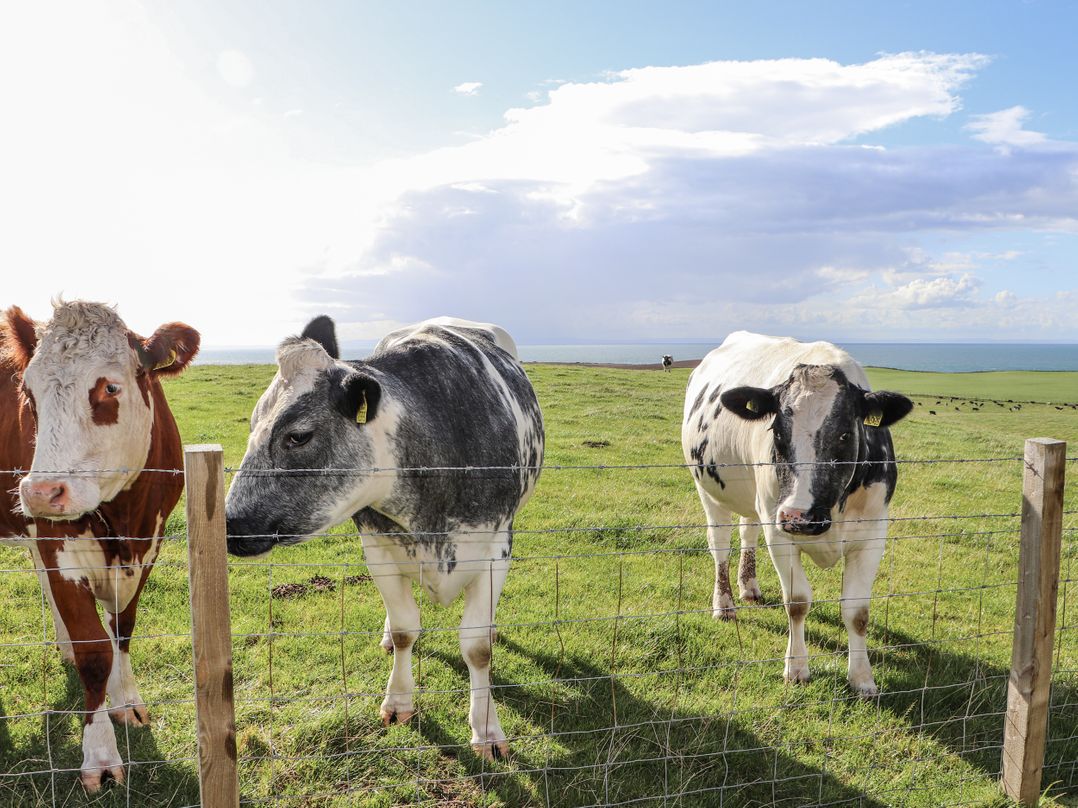 Corsewall Castle Farm Lodges