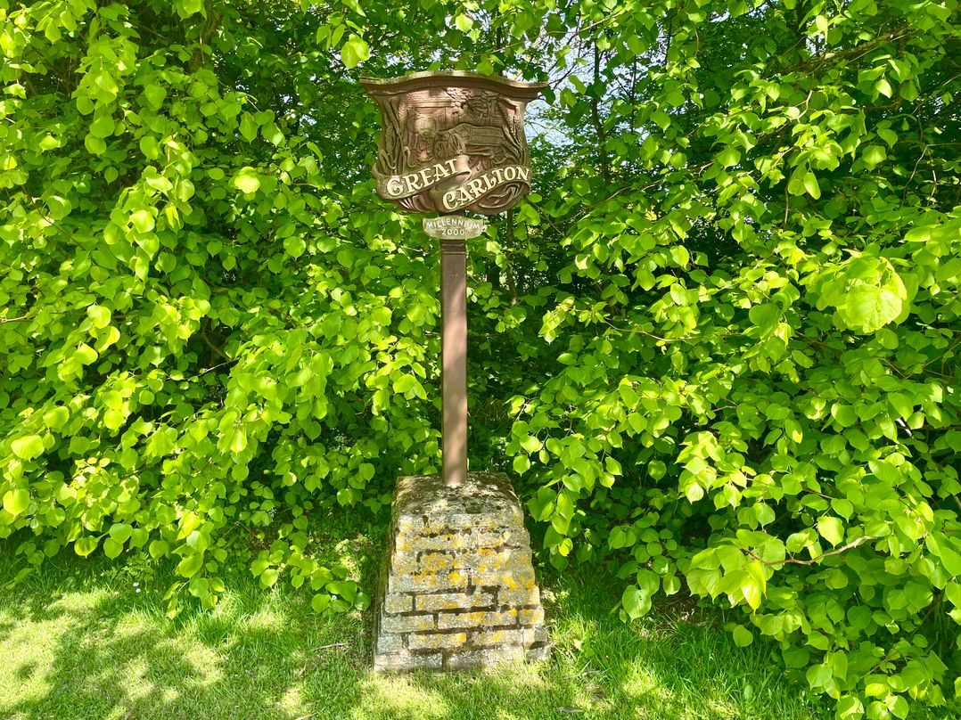 The Herb Garden