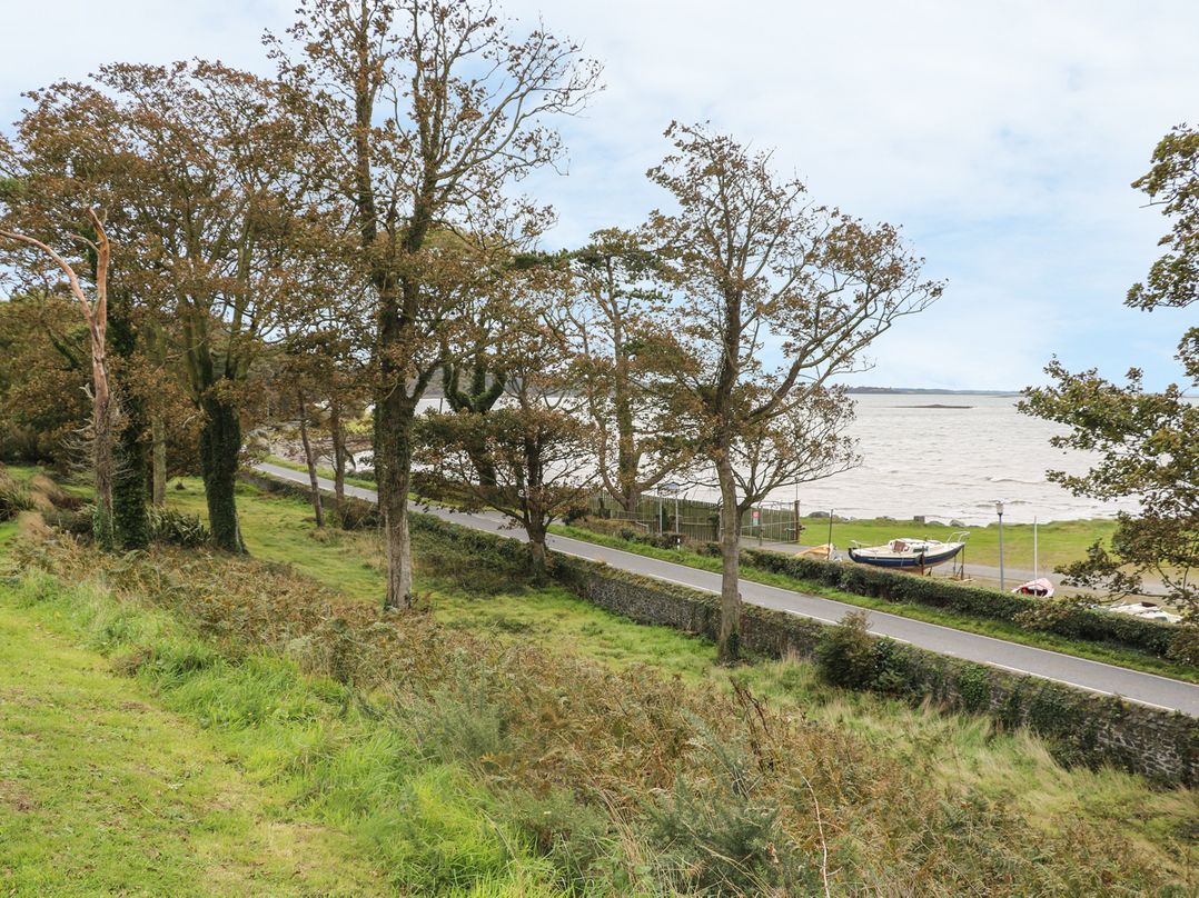 The Hide