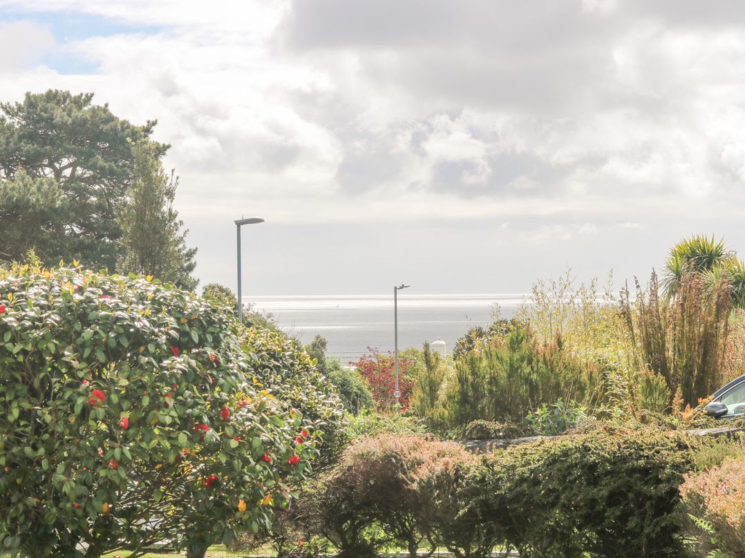 Polkerris View