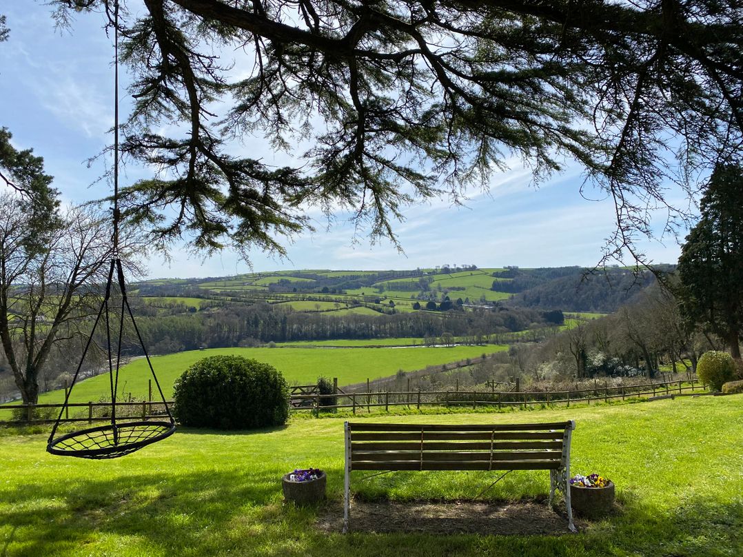 Little Silver Nugget