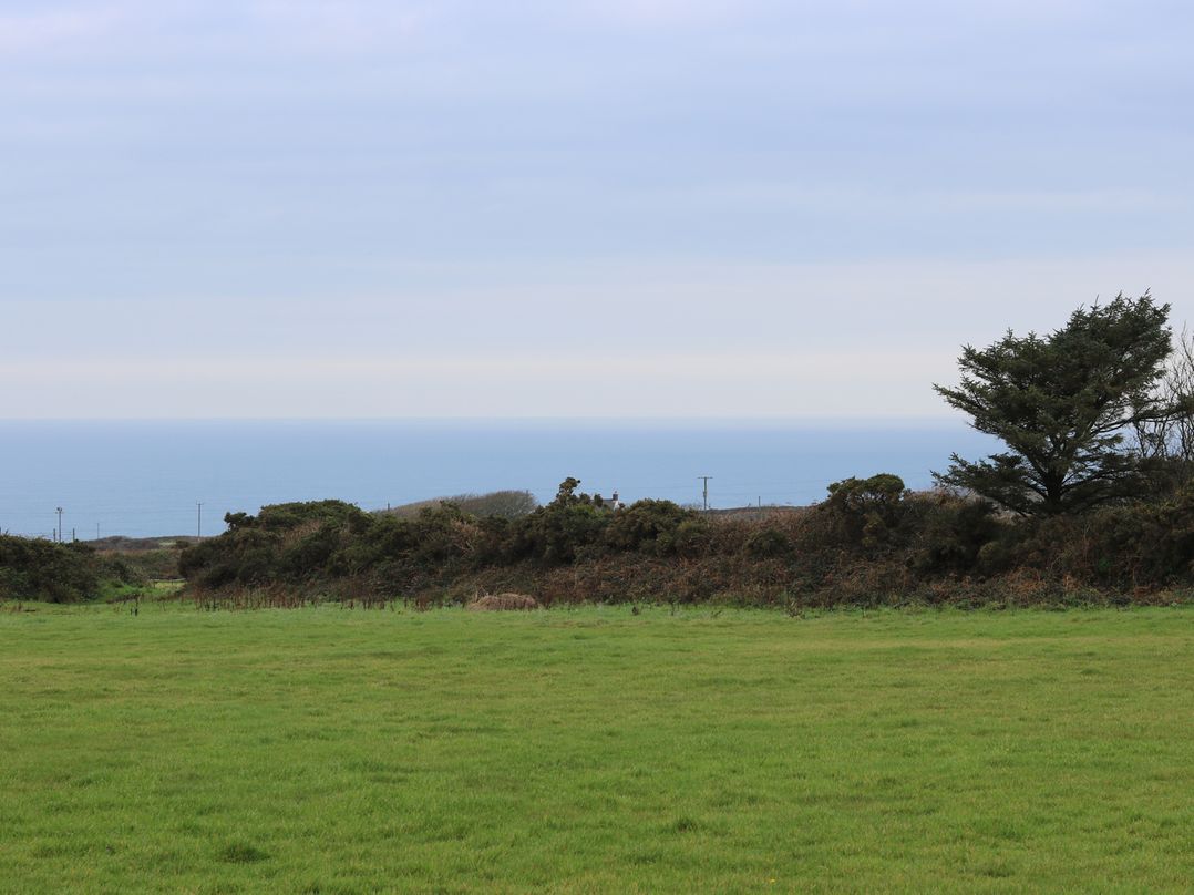 Bal View