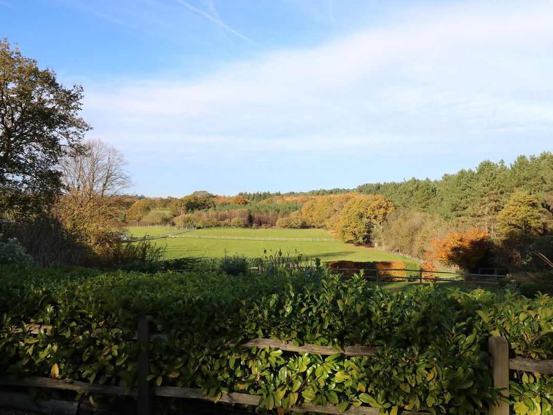 Long Meadow
