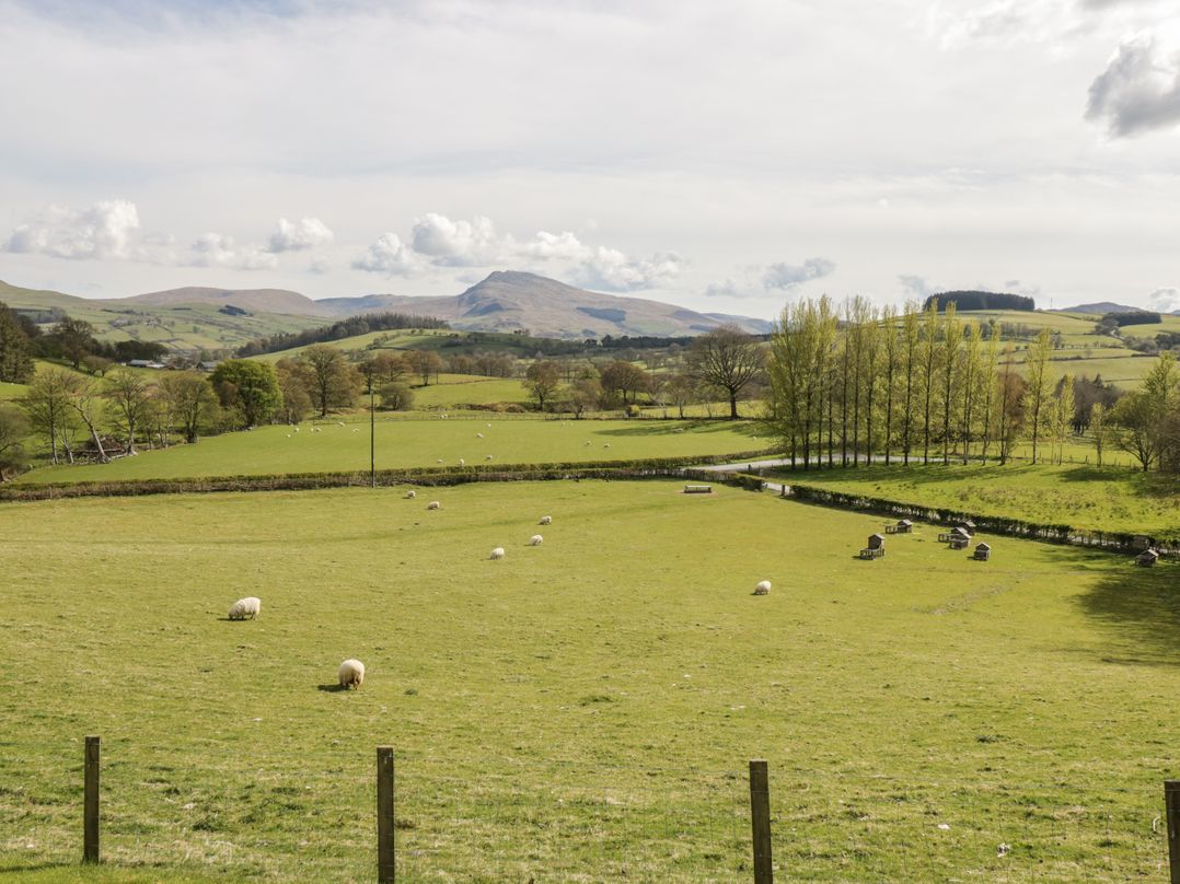 Cyffdy Cottage - Aran