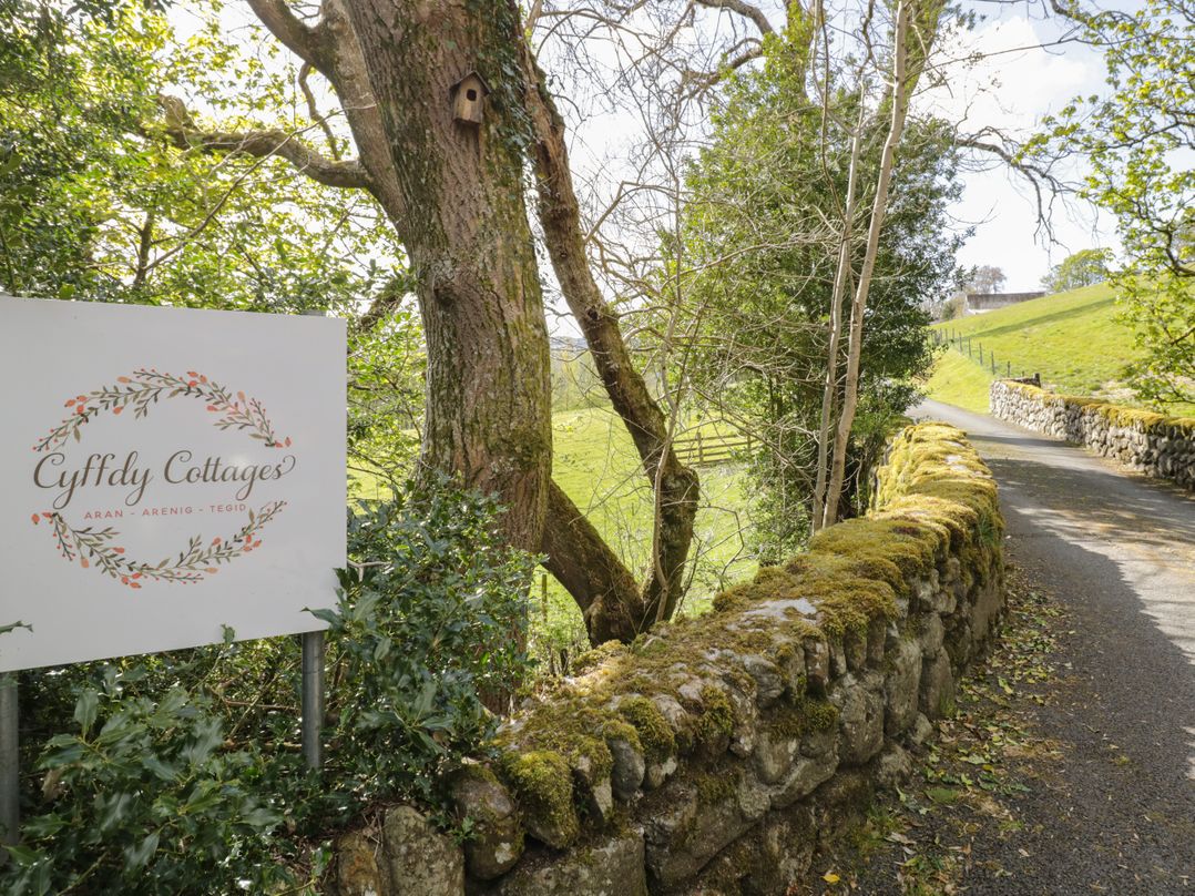 Cyffdy Cottage - Aran