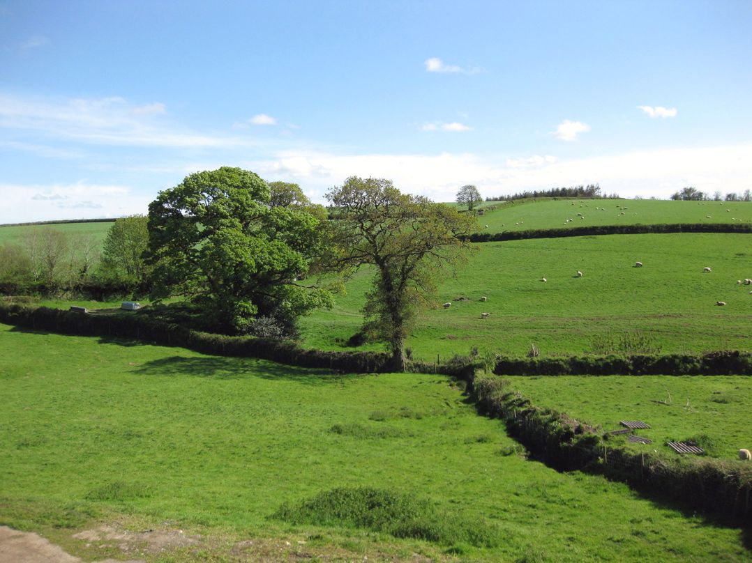 Haye Barton Farm