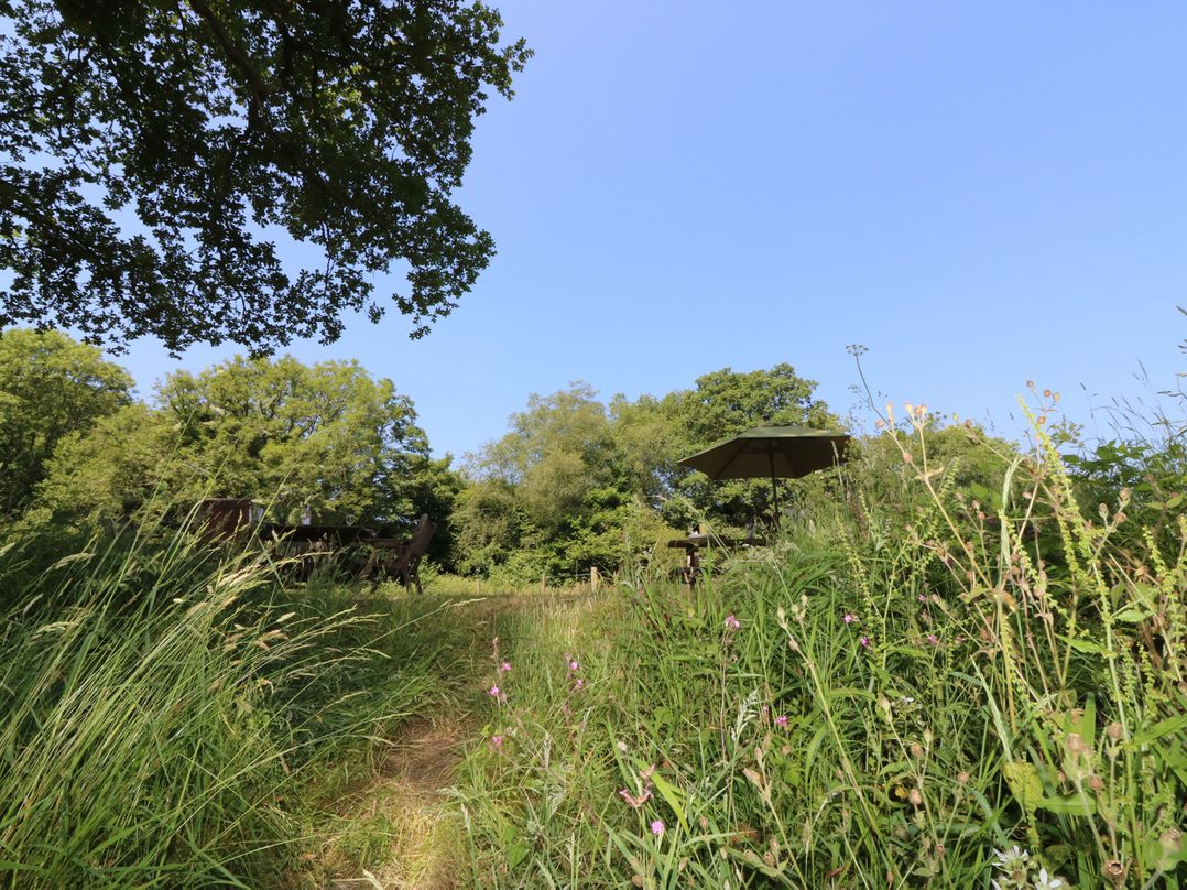 The Cider Barn