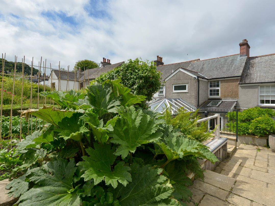 11 The Village
