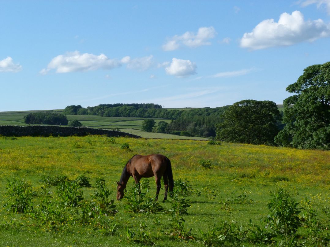 Shiers Farmhouse