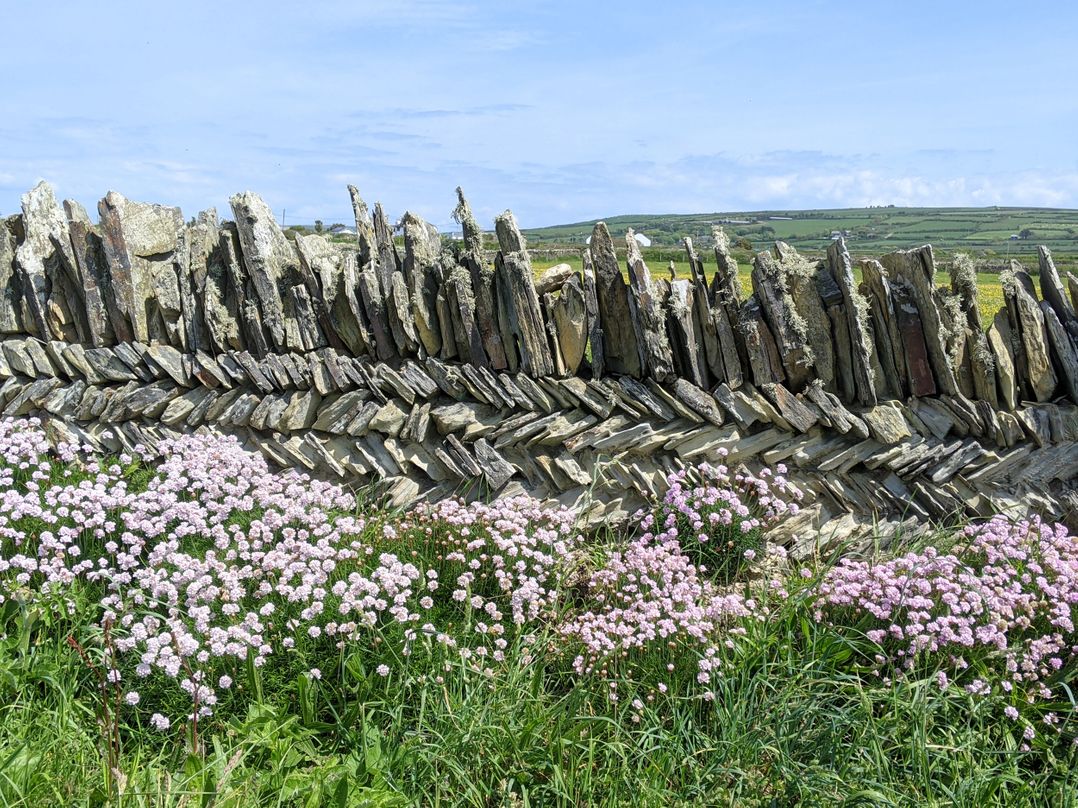 Smugglers Cottage