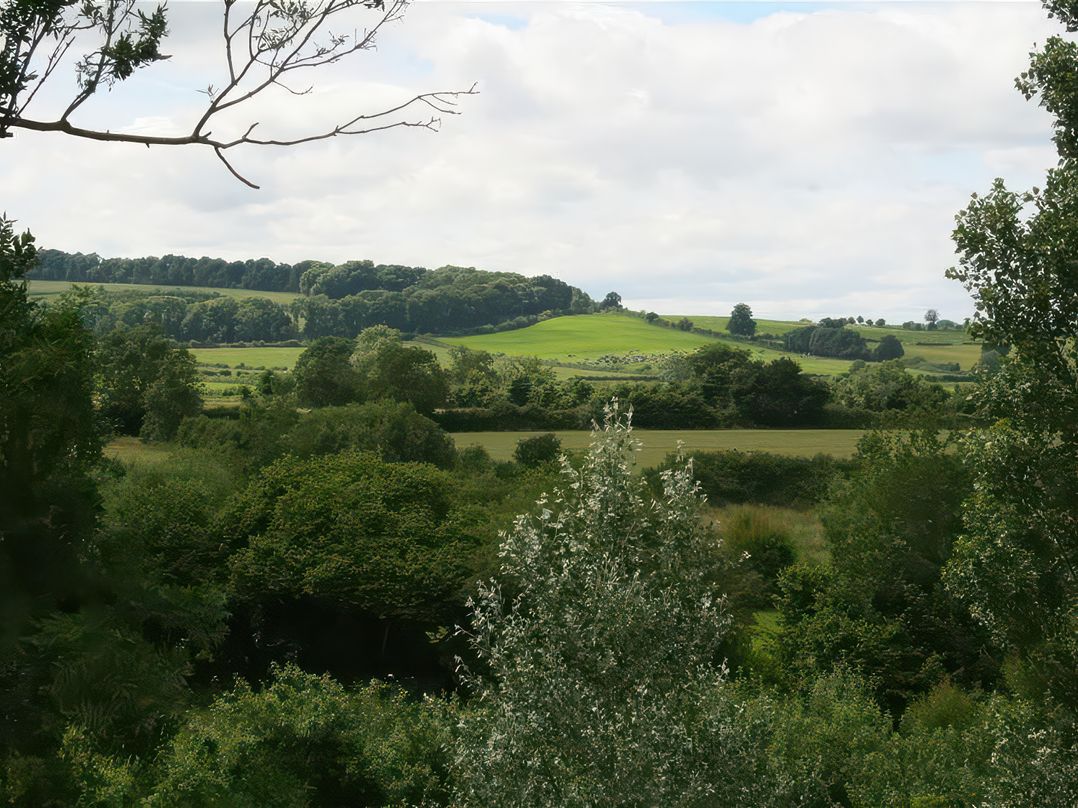 Elm View