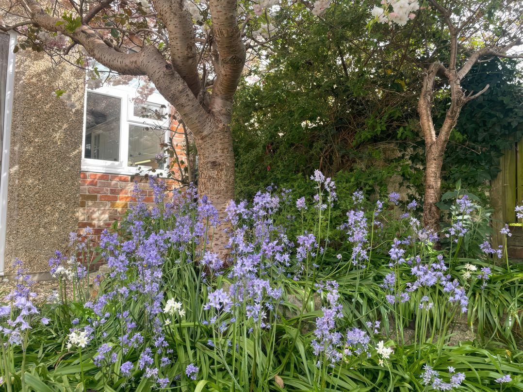 Pedaller's Cottage