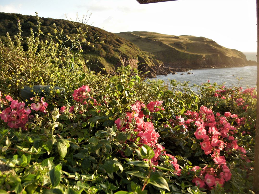 Cottage View