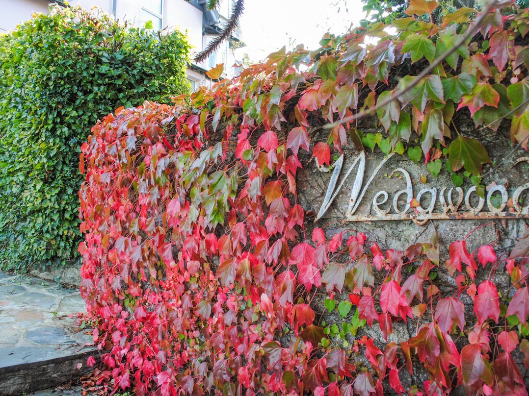 Wedgwood