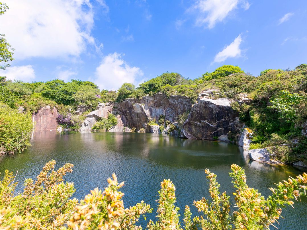 Mellydonen Beder Del (Melly), Tor Down Quarry