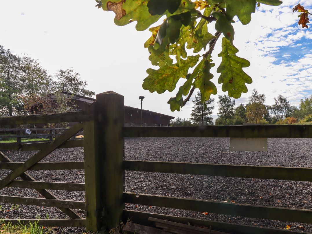 Roe Deer Country Retreat
