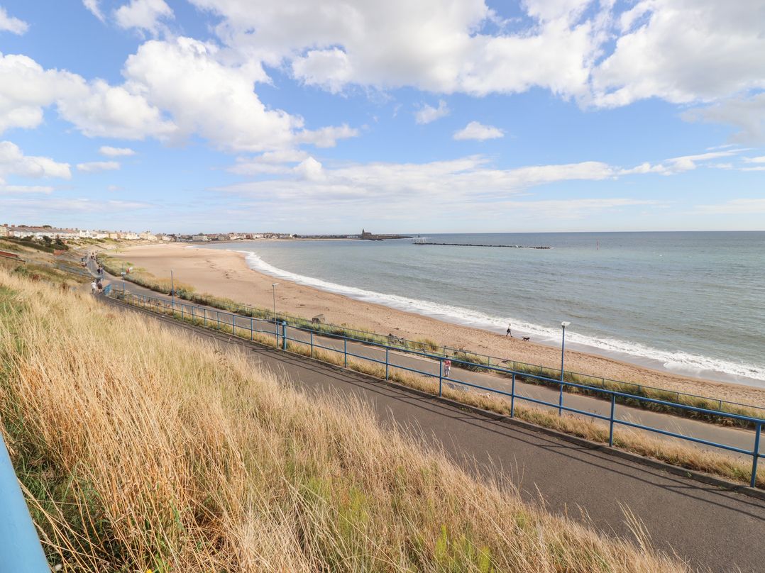 Beach Cove View