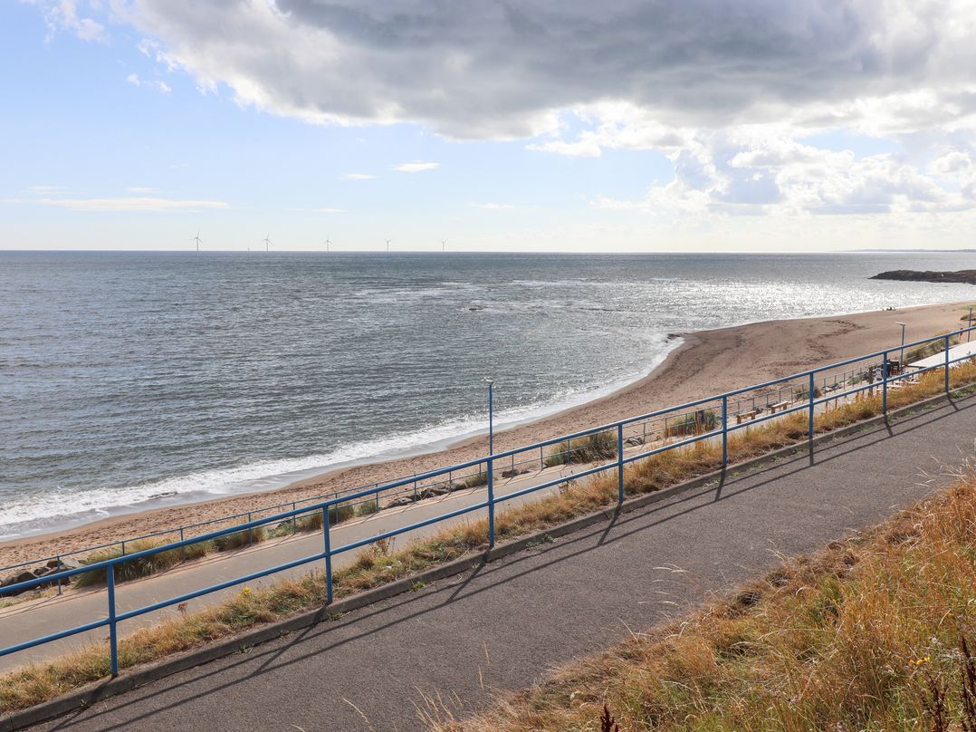 Beach Cove View