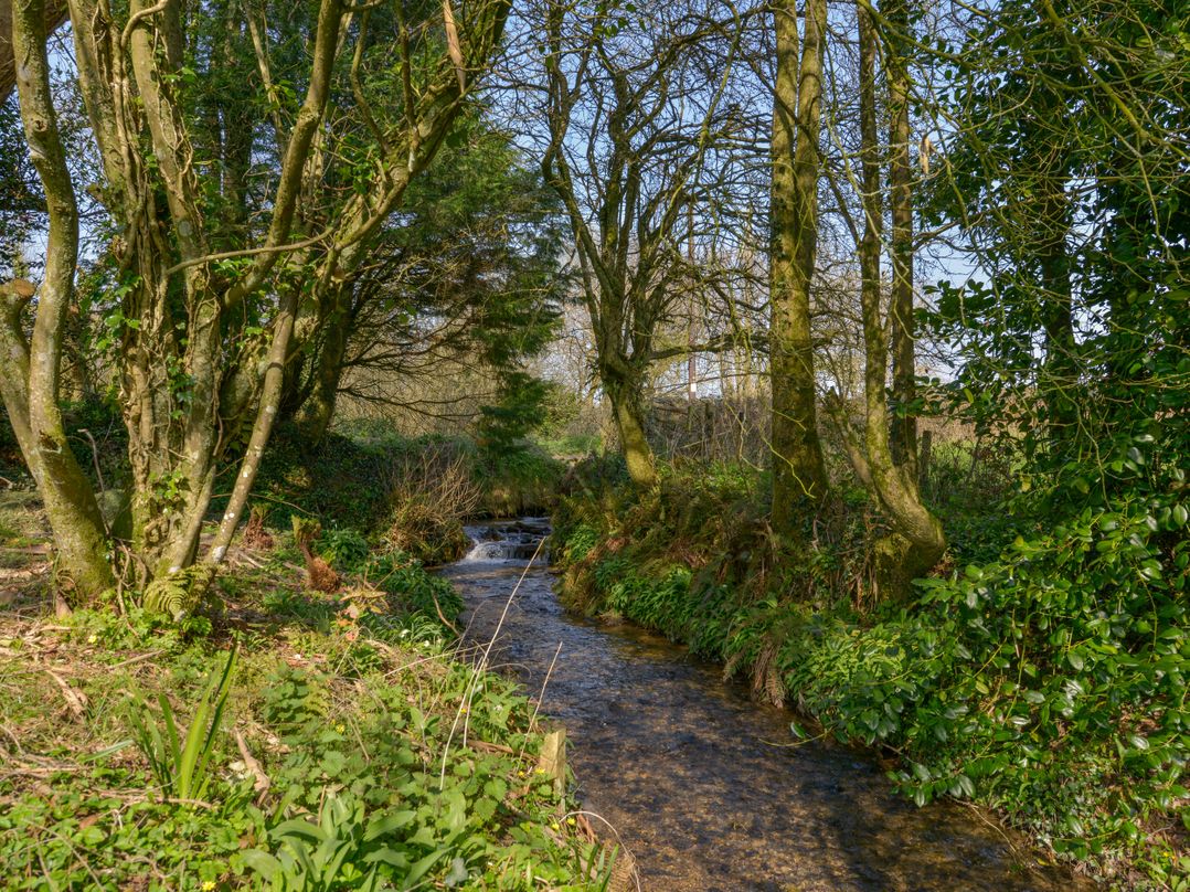 Hook Cottage