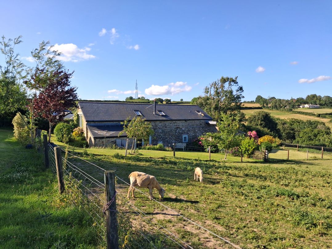 Owl Barn