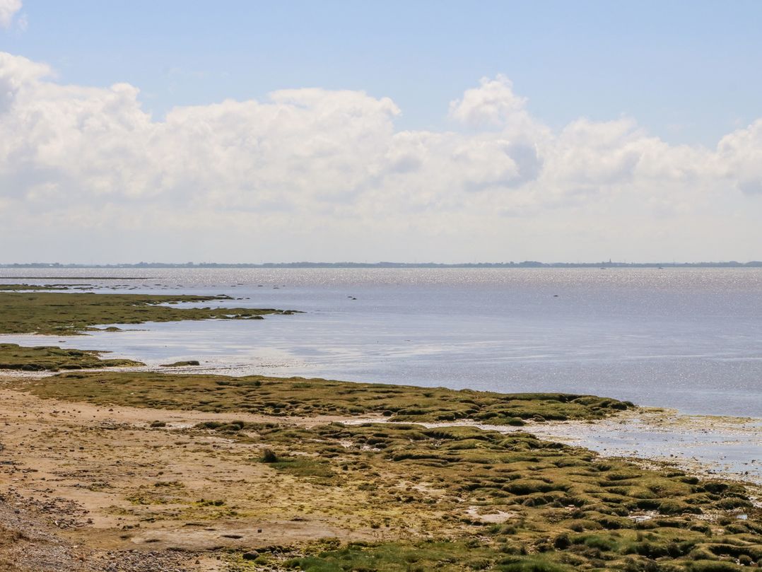 Shorefields Two