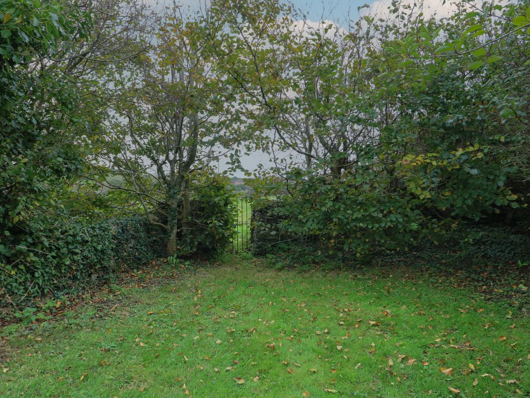 Tyn y Mynydd