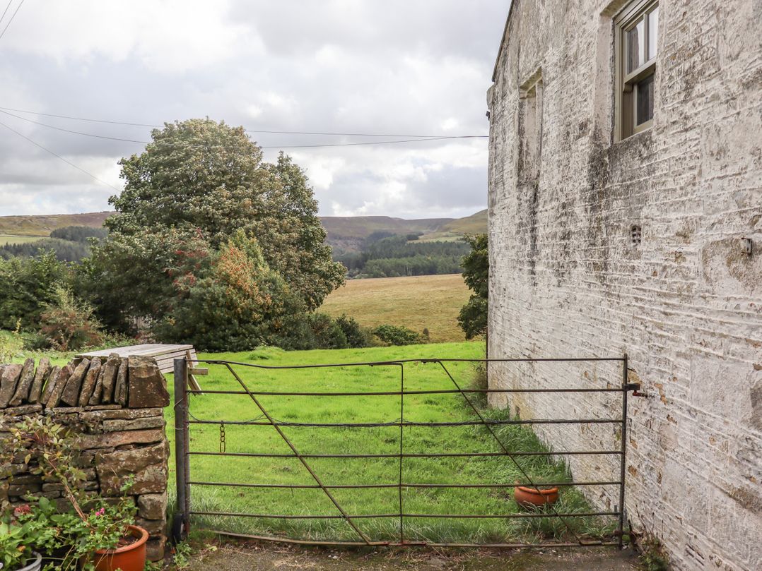 The Cow Shed