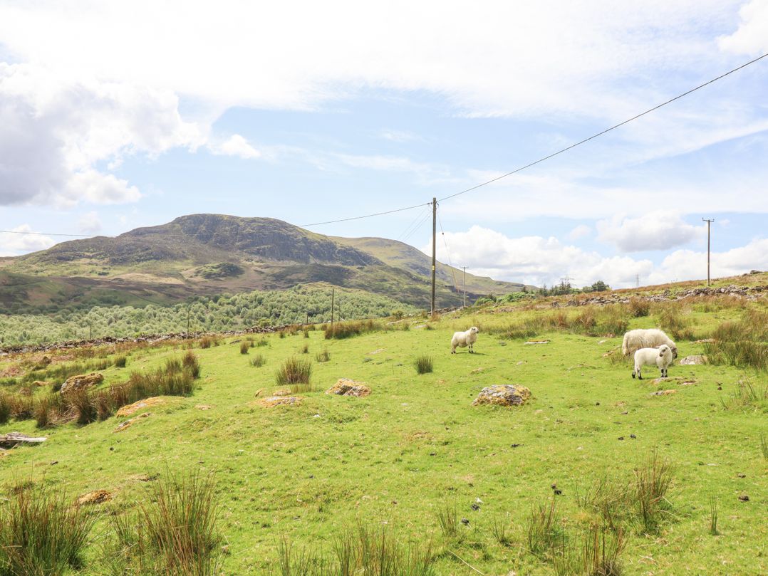 Craig Yr Ronwy