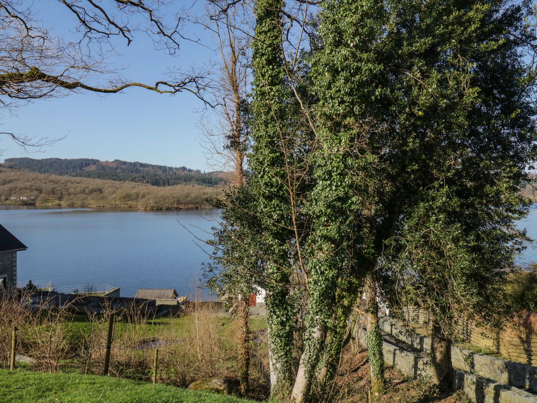 Lower Lake View
